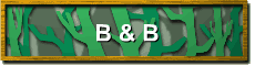 B & B