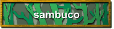 sambuco