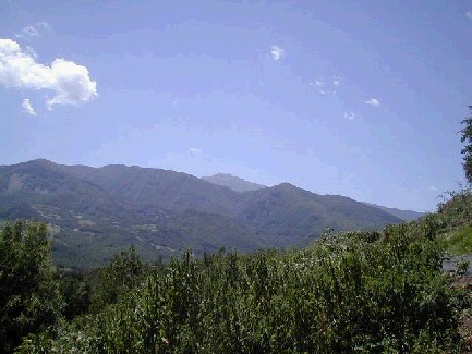 La selva armonica — foto 7